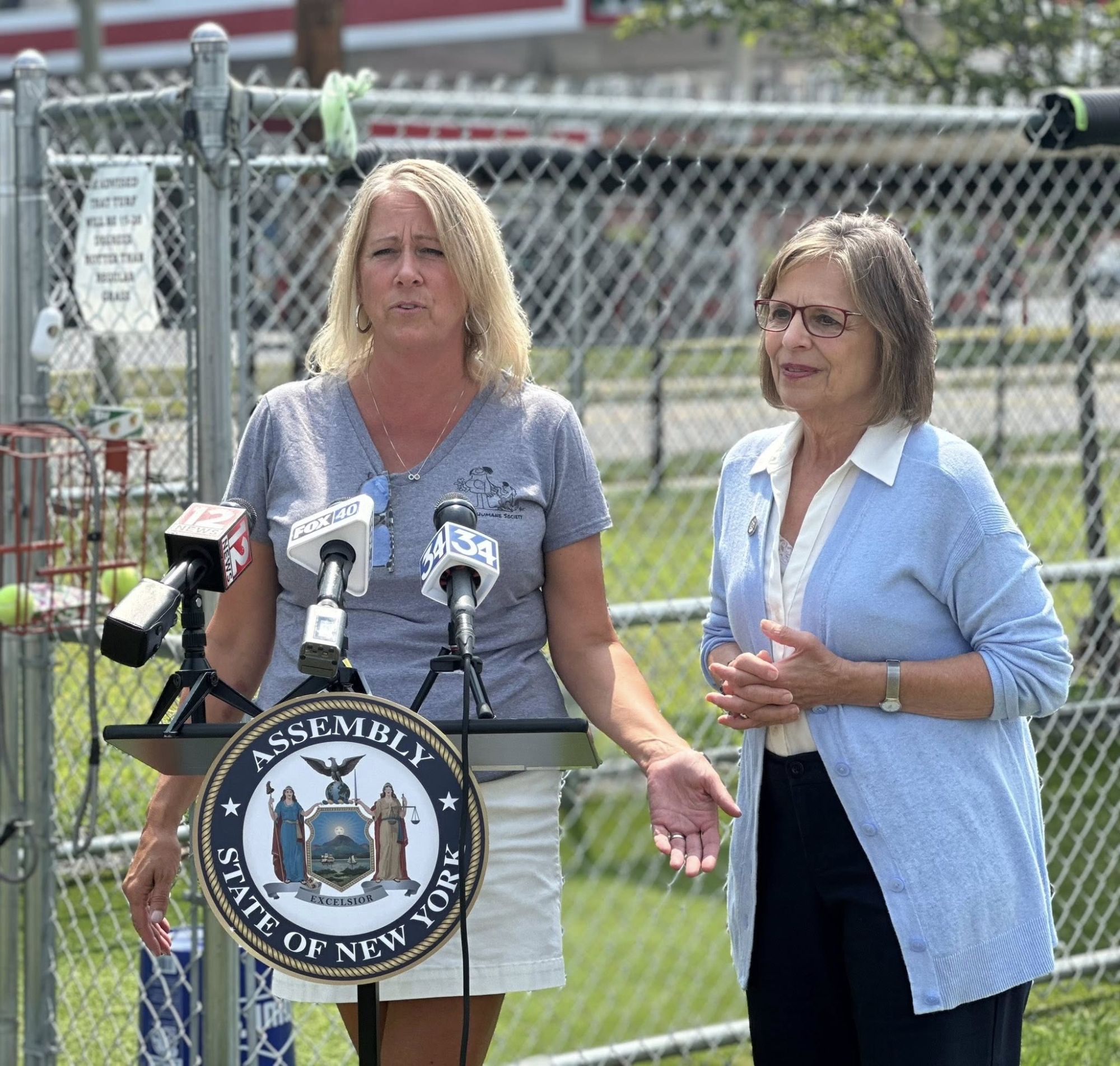 Photo as described in caption