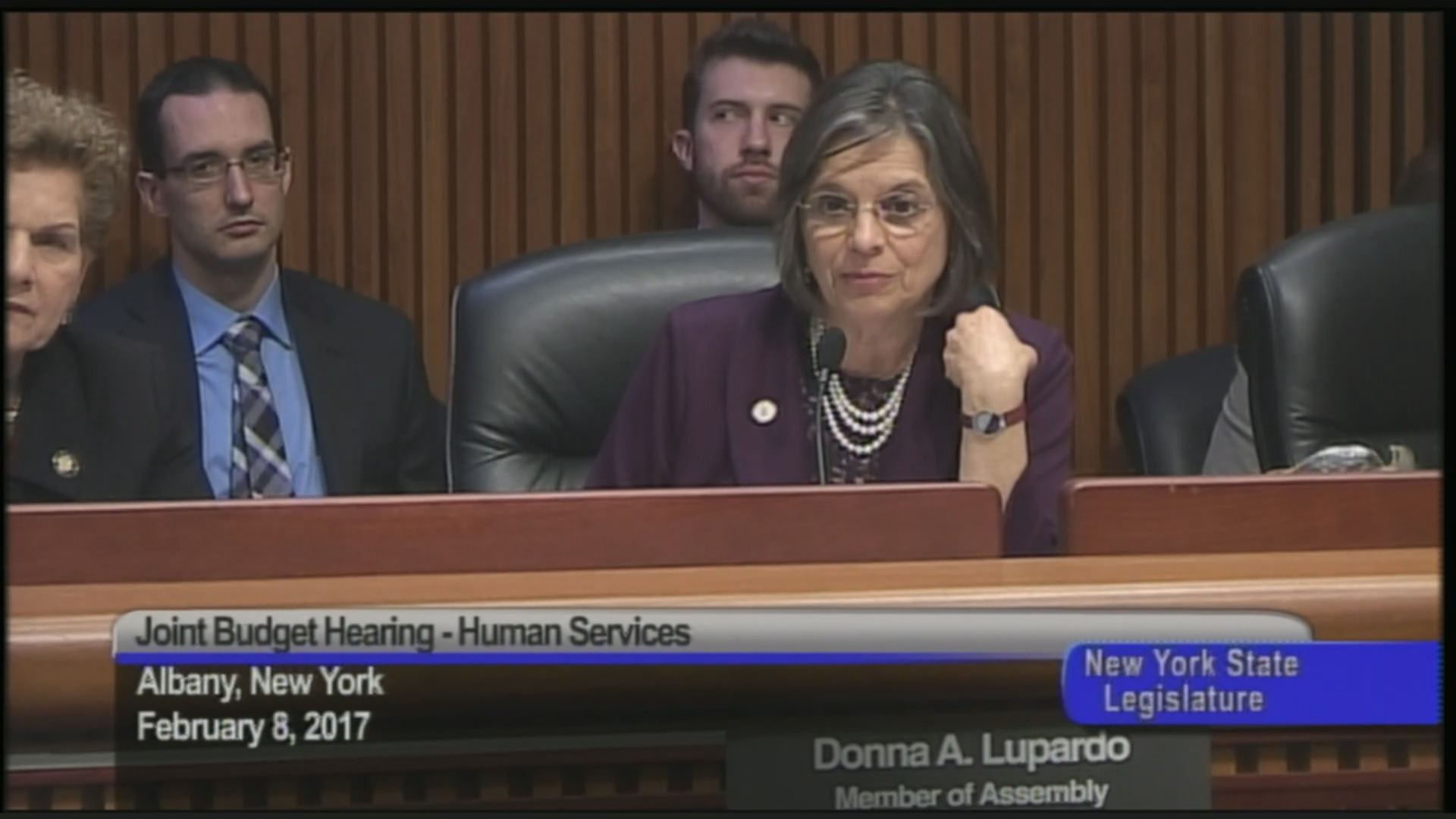 Assembly-Senate Budget Hearing On Human Services