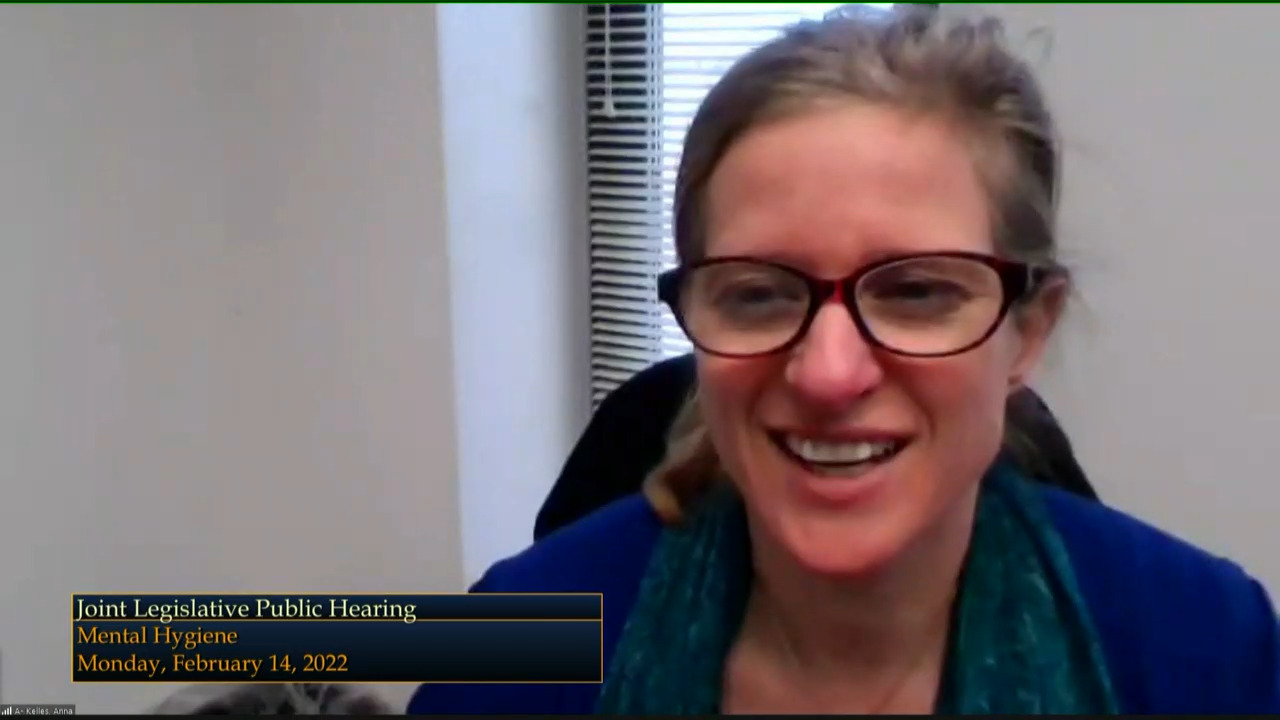 Kelles Questions OPWDD Commissioner During Budget Hearing on Mental Hygiene