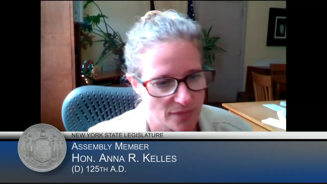 Kelles Speaks with Energy Experts During a Public Hearing on the Role of State Authorities in Renewable Energy Development