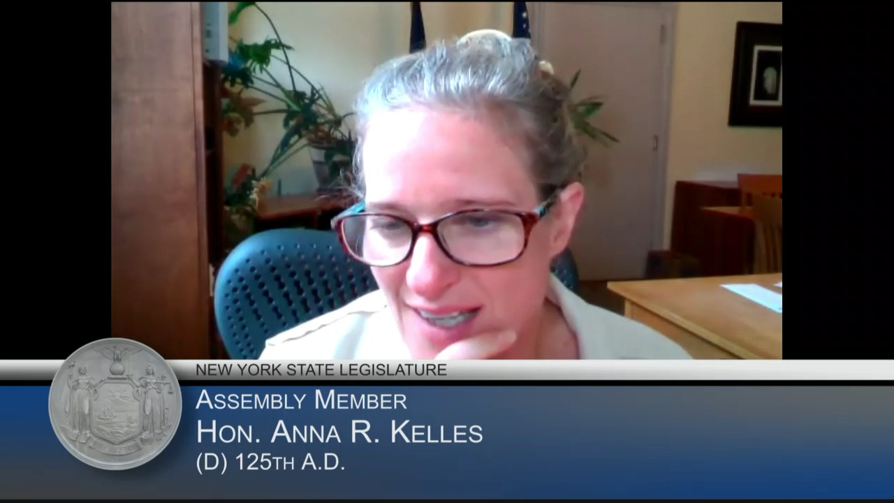 Energy Organization Officials Testify During Hearing on Role of NYS Authorities in Renewable Energy Development