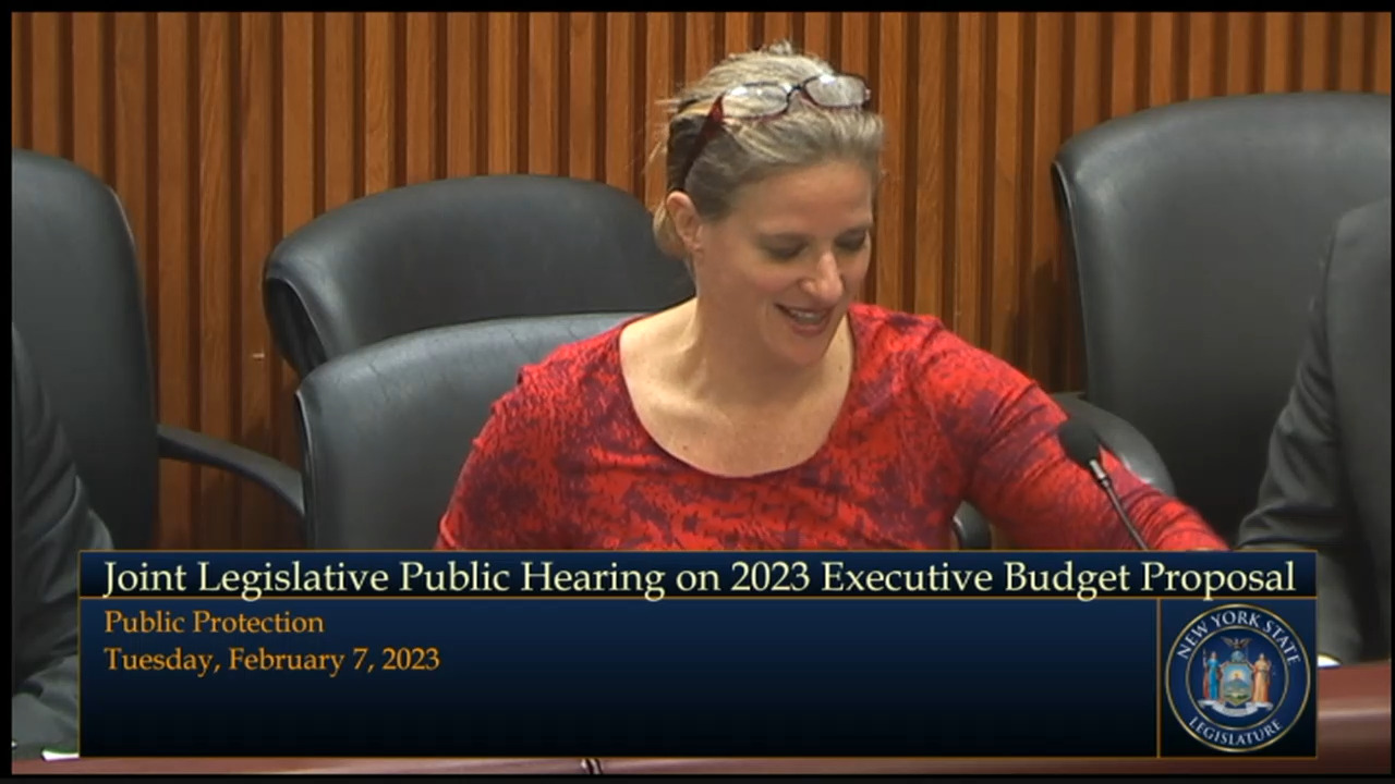 Joint Legislative Budget Hearing on Public Protection