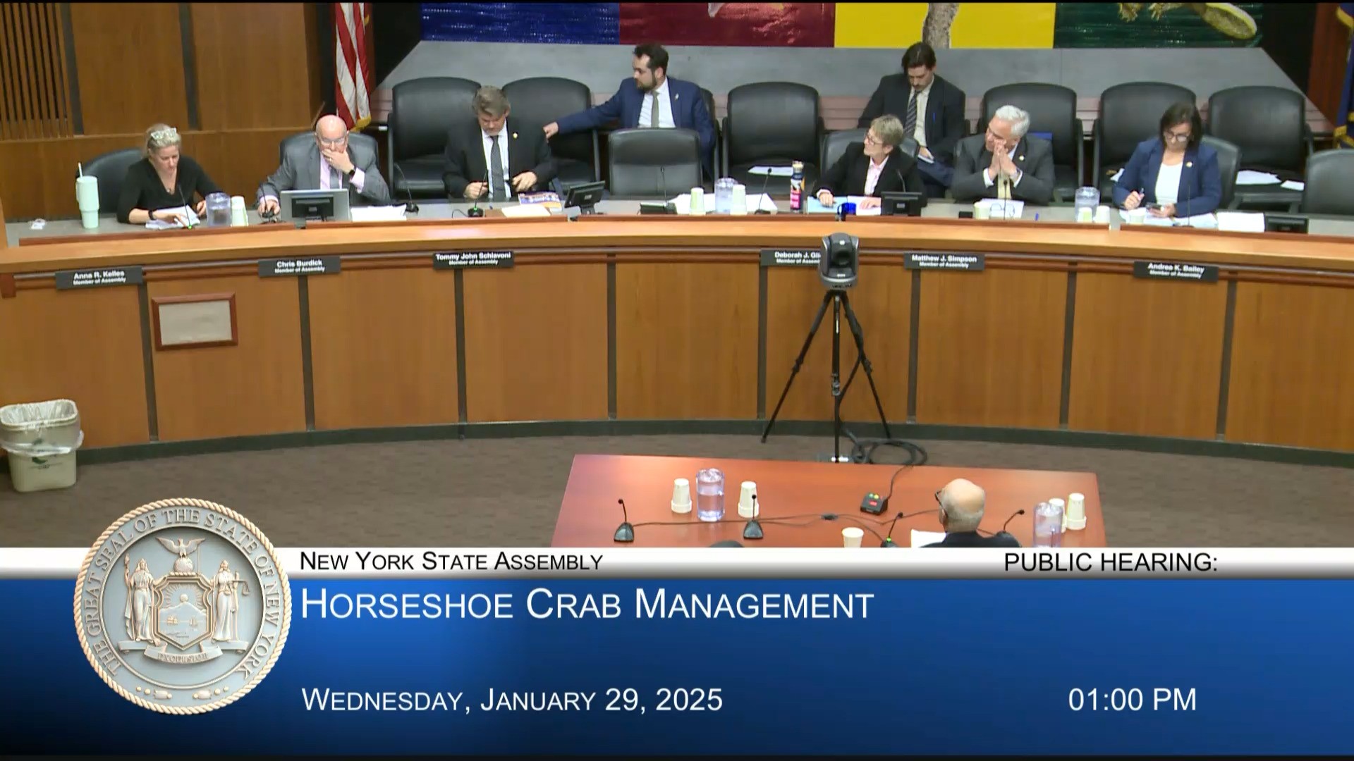 Dr. Niles Testifies During a Public Hearing on Horseshoe Crab Management in New York