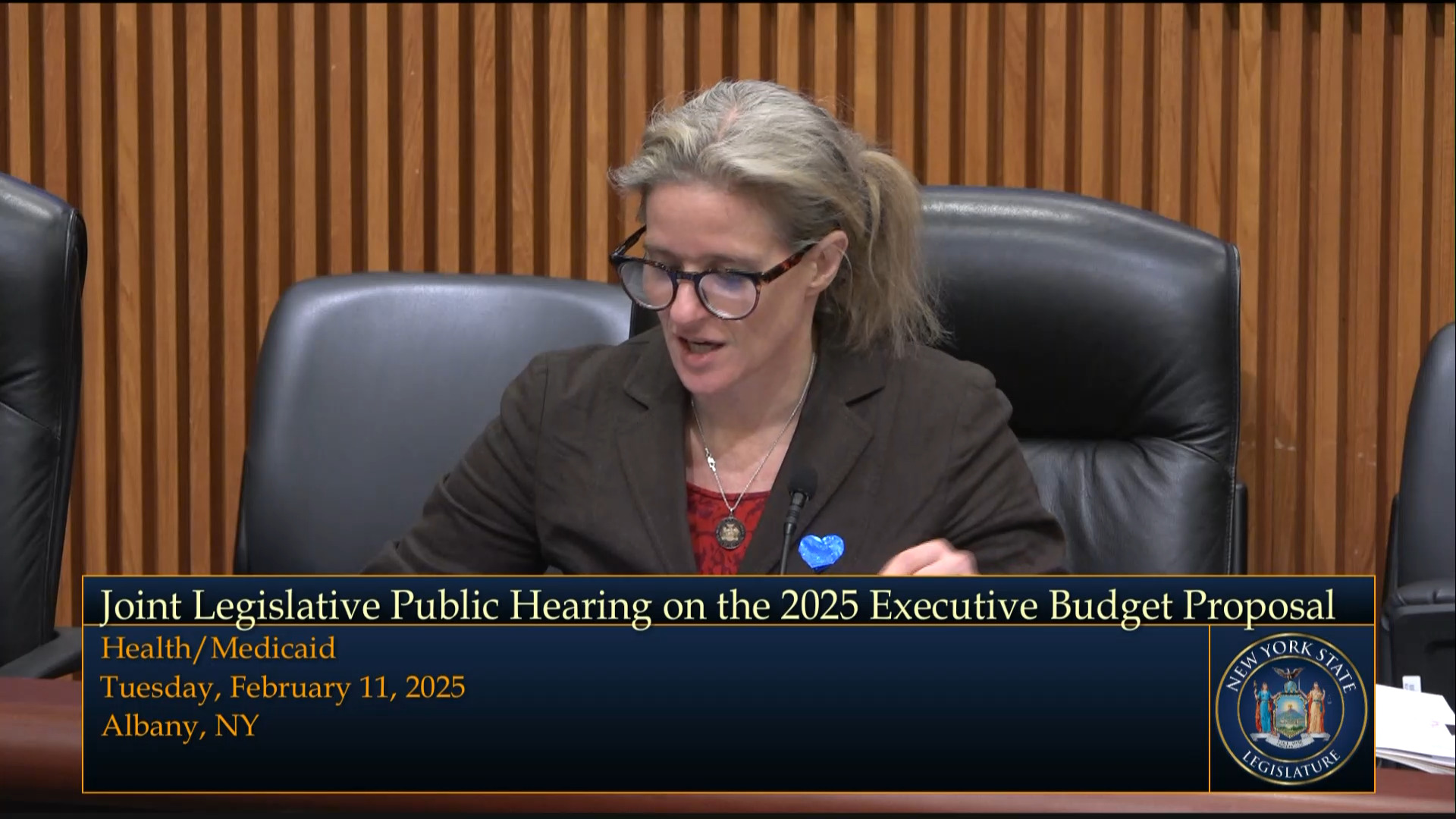 Health Commissioner Testifies During Joint Budget Hearing on Health