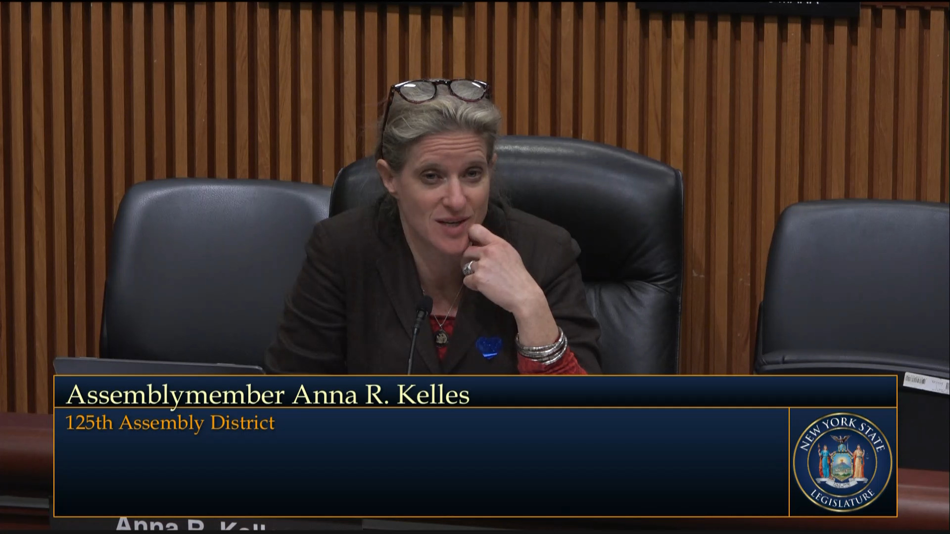 Healthcare Advocates Testify During Joint Budget Hearing on Health