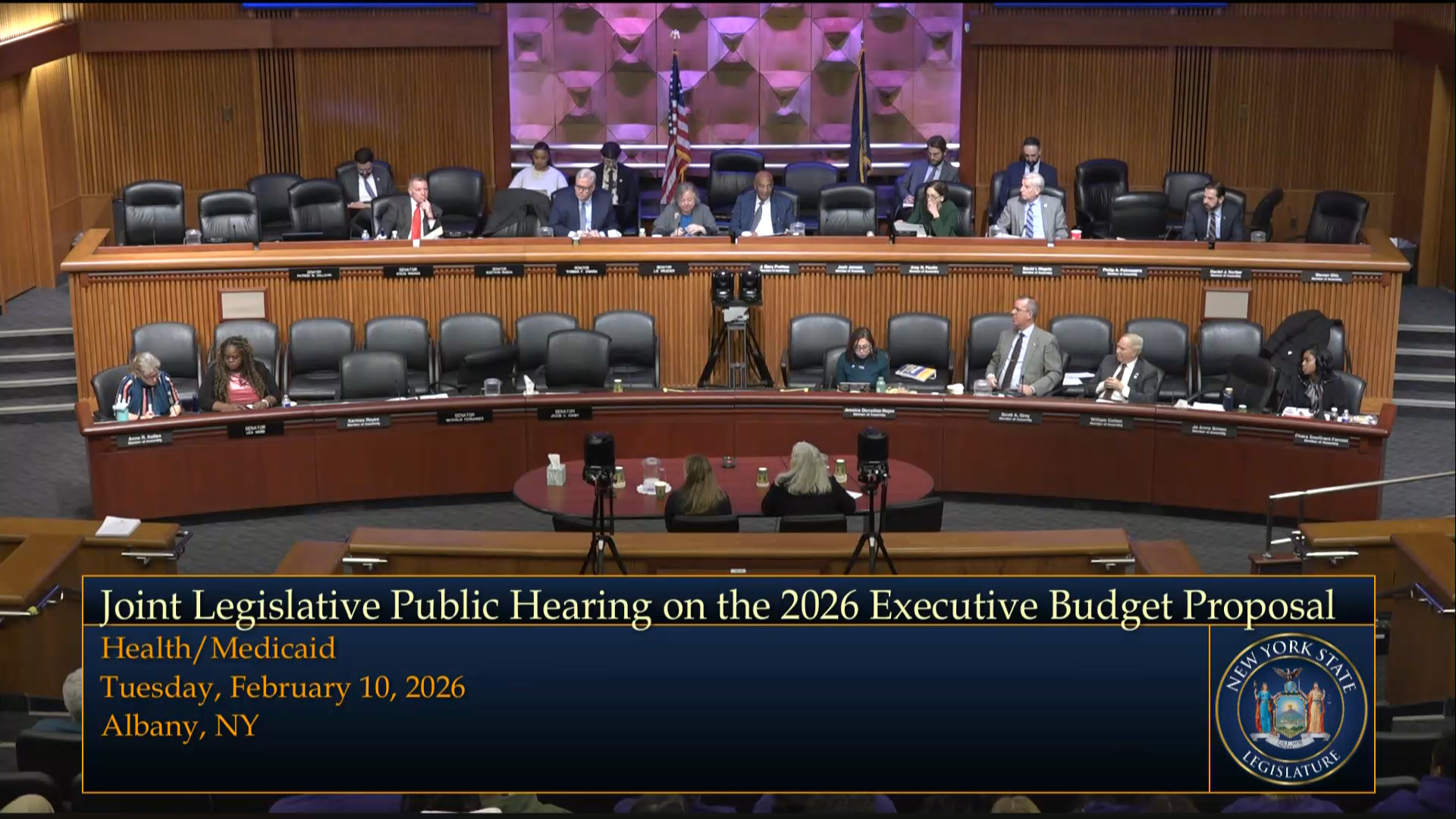 Healthcare Industry Representatives Testify During Budget Hearing on Health and Medicaid