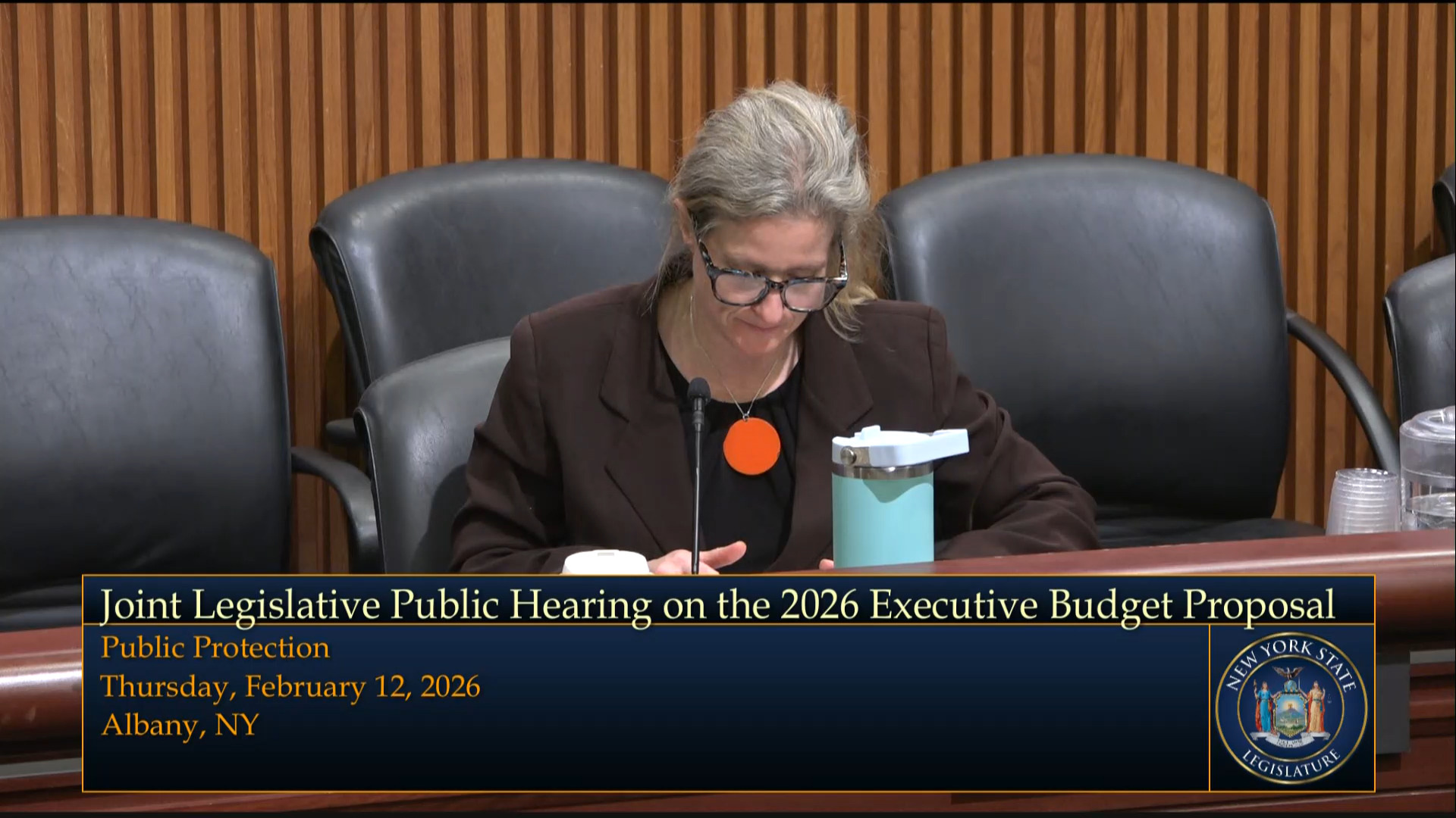 NYS Indigent Legal Services Director Testifies During Budget Hearing on Public Protection