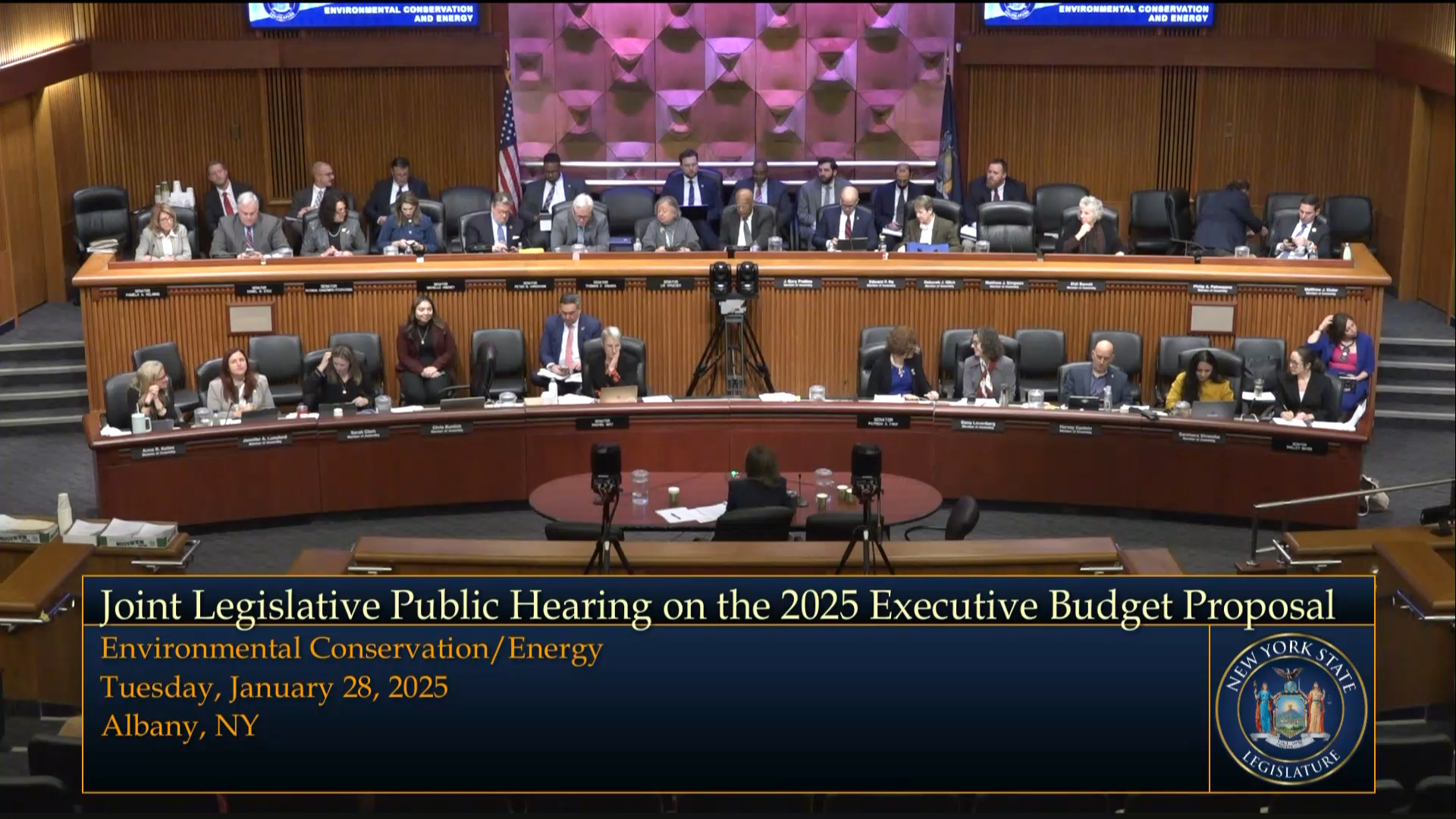 NYSERDA President Testifies During Budget Hearing on Environmental Conservation and Energy