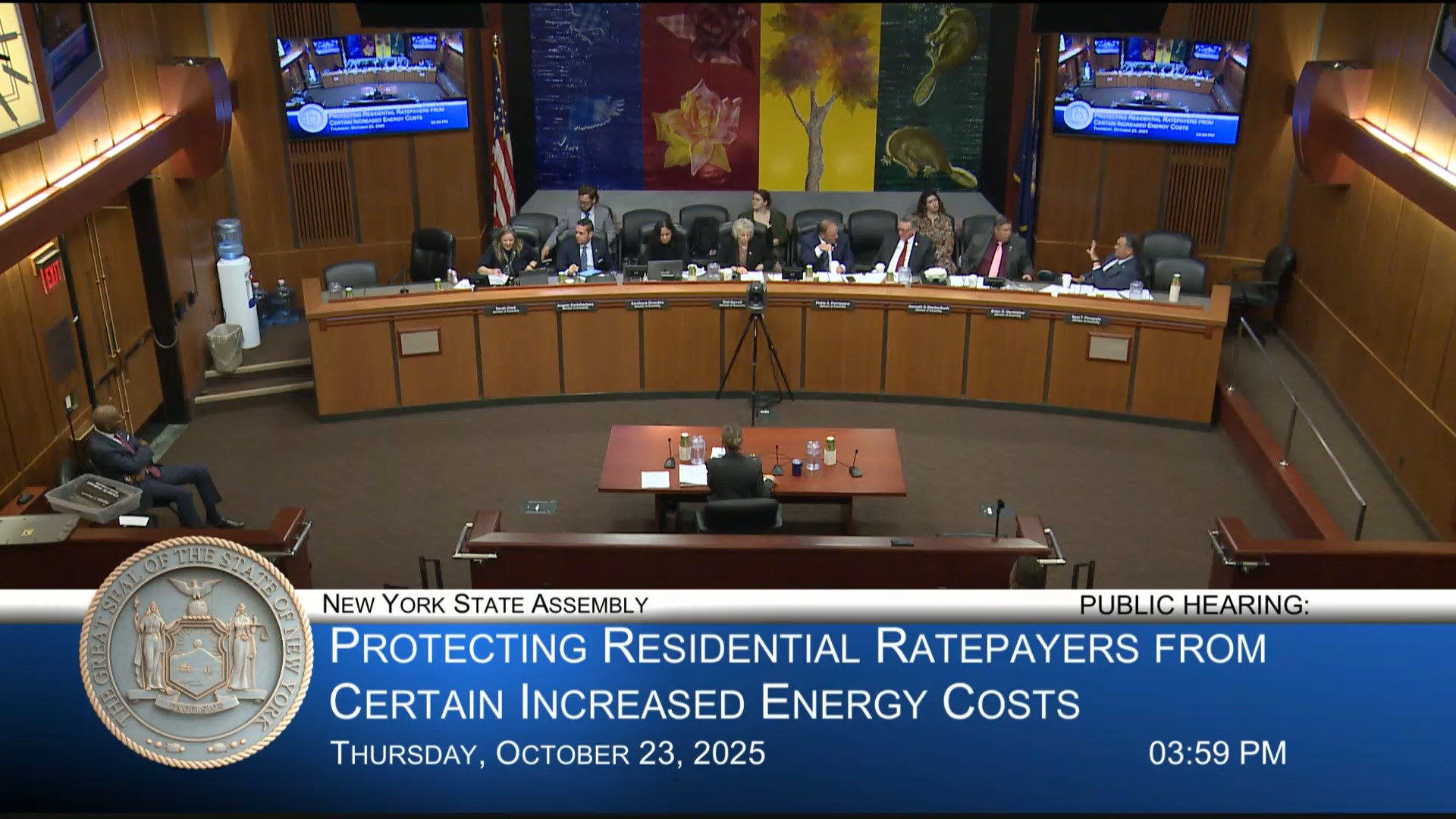 Public Utility Law Project Director Testifies During Public Hearing on Protecting Residential Ratepayers from Certain Increased Energy Costs