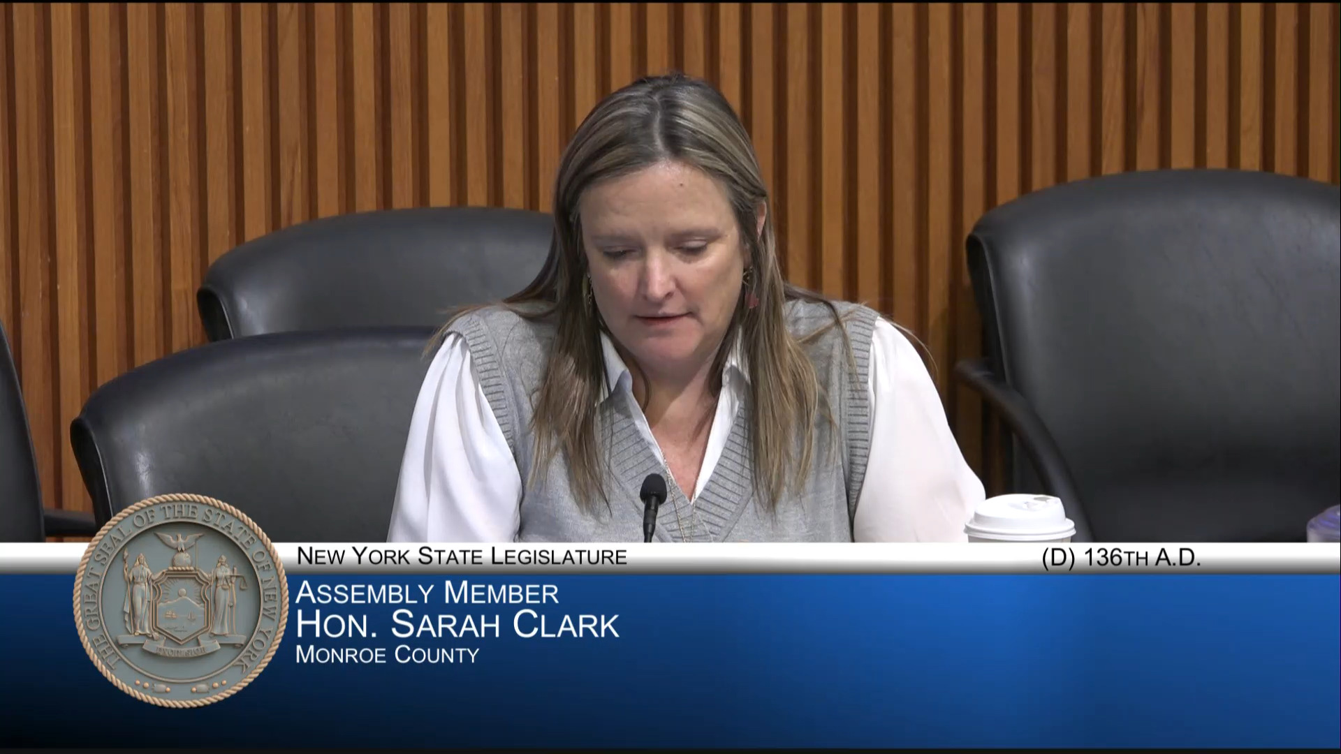 NYS Office of Aging Director Testifies During Joint Budget Hearing on Social Services