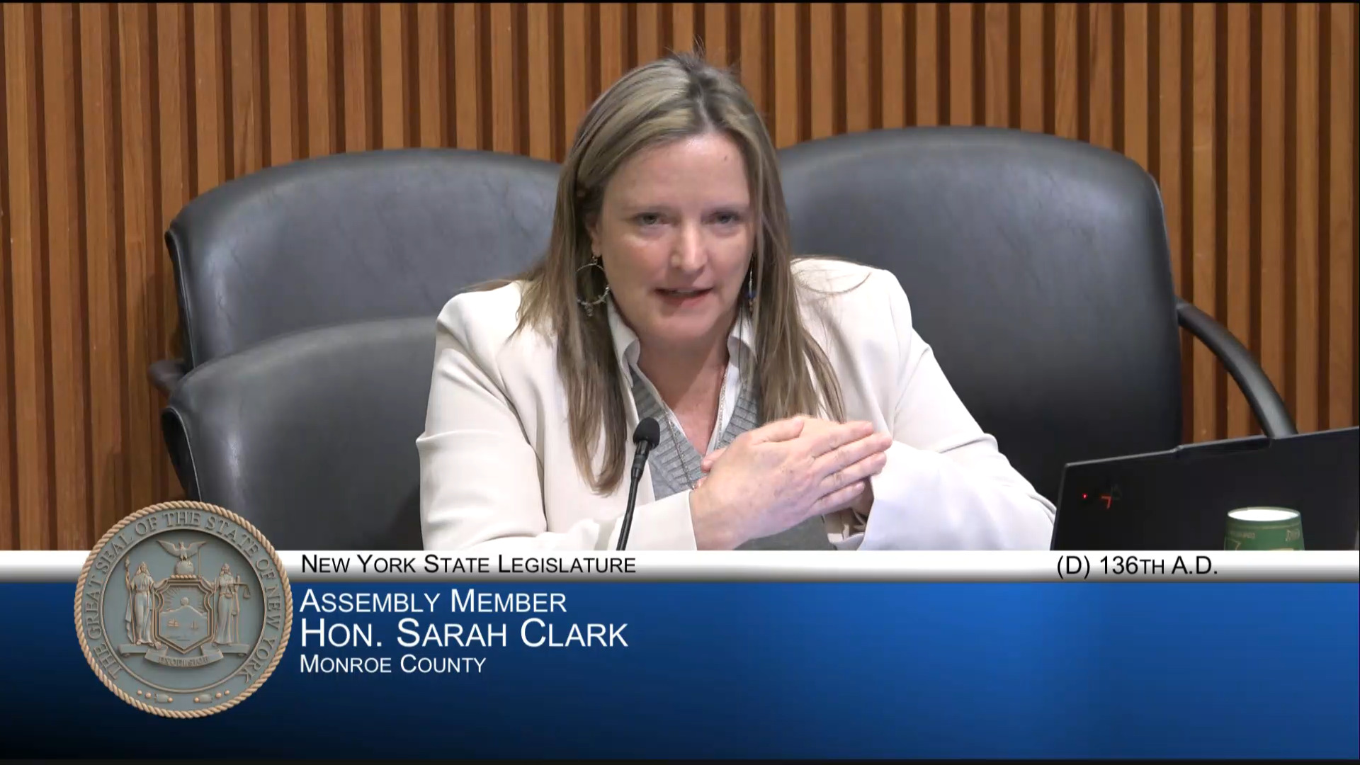 NYS Education Commissioner Testifies During Joint Budget Hearing on Higher Education