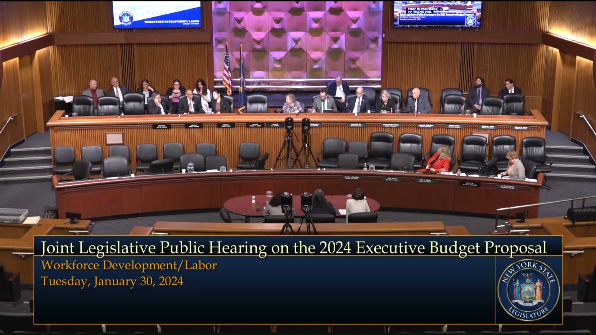 Business Council of NY Representative Testifies During Budget Hearing on Workforce Development/Labor