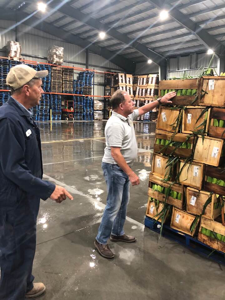 Hawley inspects crates of sweet corn ready for shipment during a visit to Kludt Bros. Farms in Kendall where the third generation producers grow beets, corn, wheat, sweet corn and cabbage and package