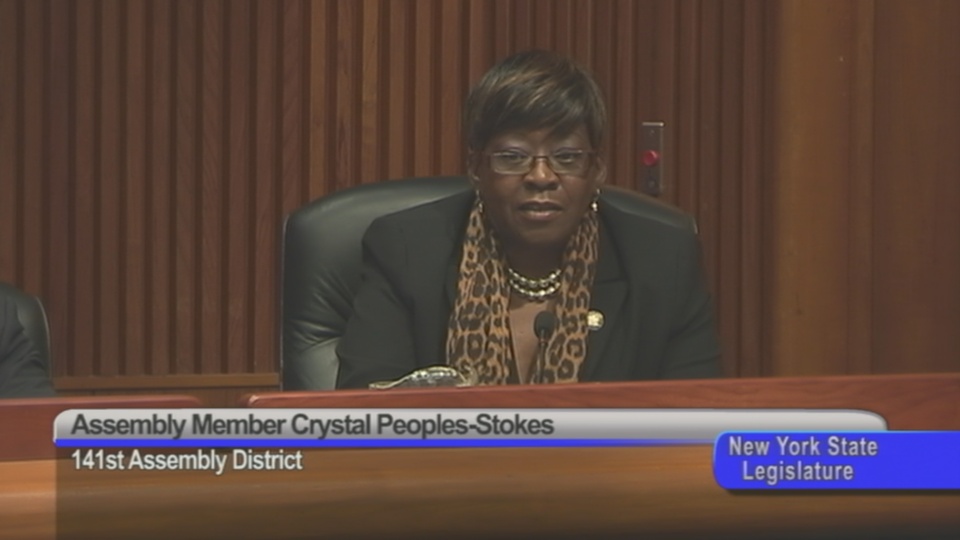Assemblymember Peoples-Stokes Questions The NYS Office of Temporary and Disability Services Panel On Their Role In Fostering Minority and Women Owned Businesses