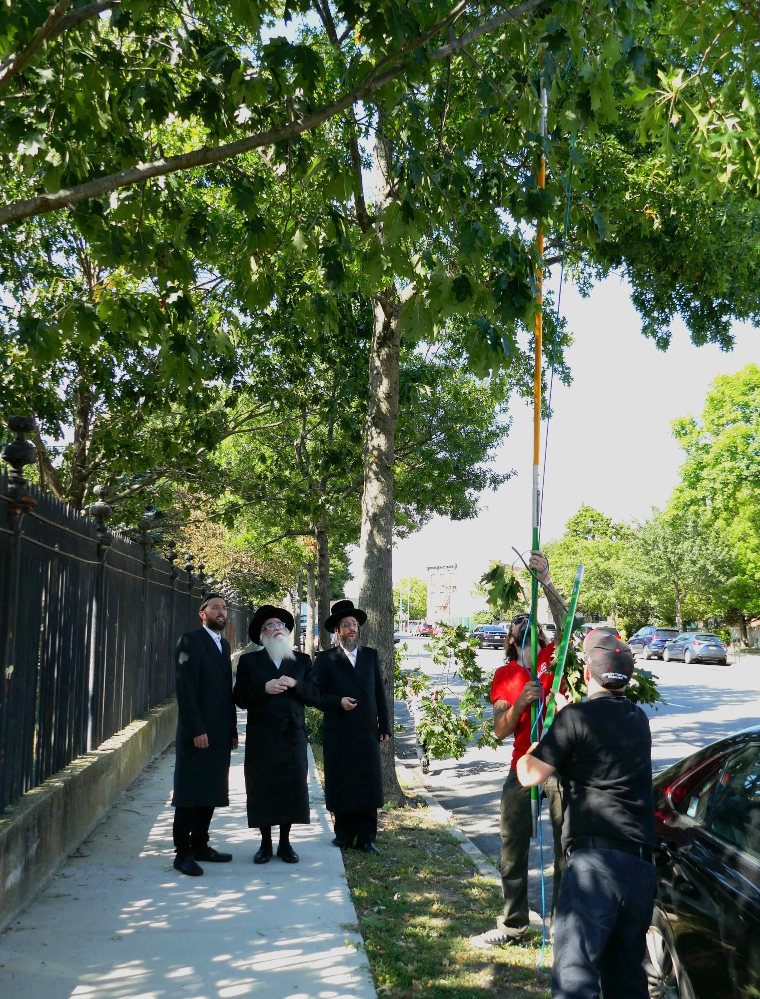 Photo as described in caption