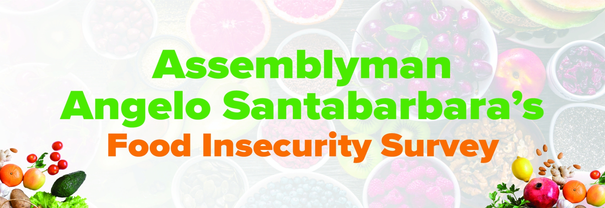 Food Insecurity Survey